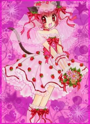 tokyomewmew1 - tokyo mew mew