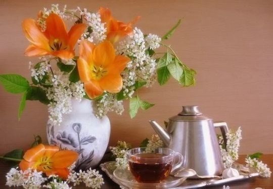 104043585_4600429_16419215