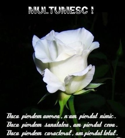 104043585_7542863_16151676