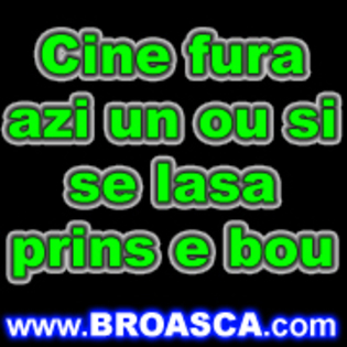 avatare_poze_cine_fura_azi_un_ou_si_se_lasa_prins_e_bou