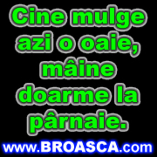 avatare_poze_cine_mulge_azi_o_oaie_maine_doarme_la_parnaie - Avatare