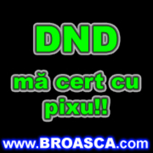 avatare_poze_dnd_ma_cert_cu_pixu - Avatare