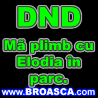 avatare_poze_dnd_ma_plimb_cu_elodia_in_parc - Avatare