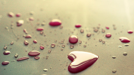 bleeding_heart-1811