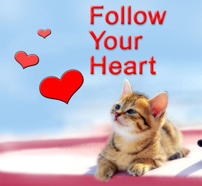 follow_your_heart-1779 - Inimioare