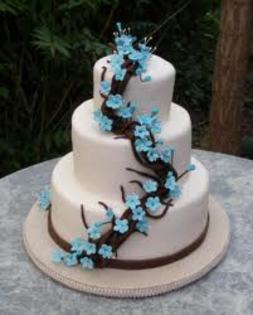 Tort magia chinezeasca