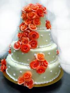 Tort magia trandafirilor