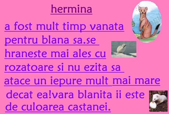 hermina1