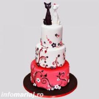 Tort pisicute - Poze cu torturi si prajituri