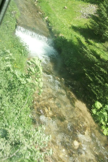 Picture 082