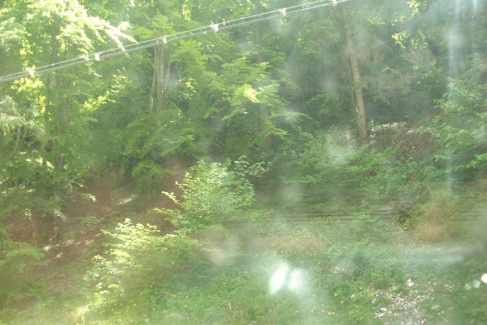 Picture 087