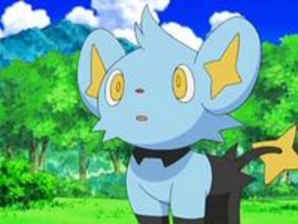 shinx: scz de deranj! - Pokemon - Inceputul secretului