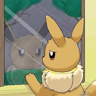 eevee: i-a uite-te la ei cum se joaca... - Pokemon - Inceputul secretului