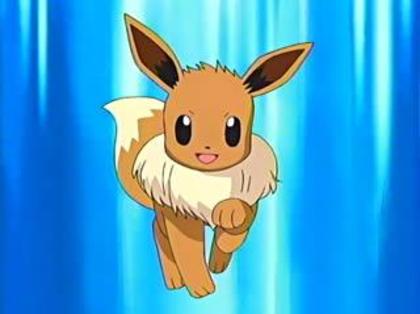 eevee: ma duc si eu! - Pokemon - Inceputul secretului