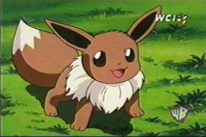 eevee: buna prieteni!!! - Pokemon - Inceputul secretului