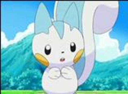 pachirisu: ah daca asta e sfarsitul... - Pokemon - Inceputul secretului