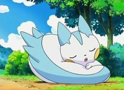 pachirisu: ZzZzZzZz... - Pokemon - Inceputul secretului