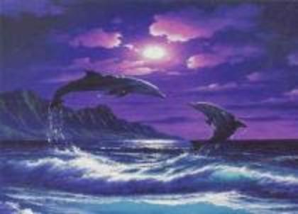 FSEGSLNABXPXKTTKCLY - Lumea delfinilor