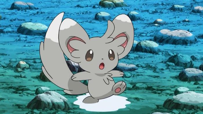 Minccino - Pokemoni din generatia aVa