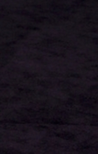 31324305_DIMYYCNGC