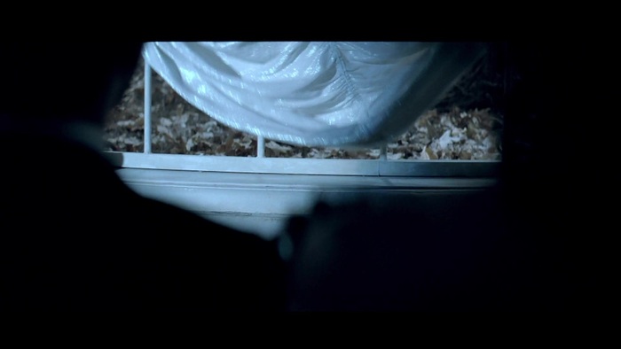 Miley Cyrus - Can&#39;t Be Tamed 090