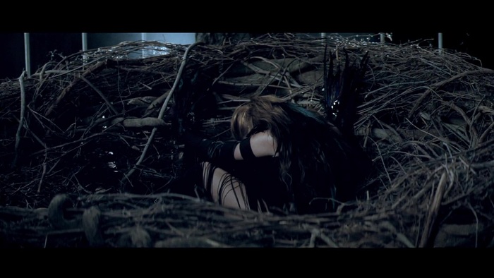 Miley Cyrus - Can&#39;t Be Tamed 096