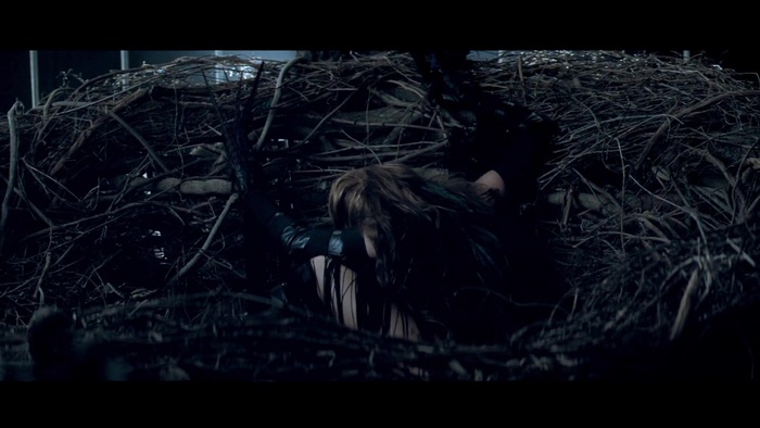 Miley Cyrus - Can&#39;t Be Tamed 107