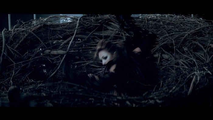 Miley Cyrus - Can&#39;t Be Tamed 108