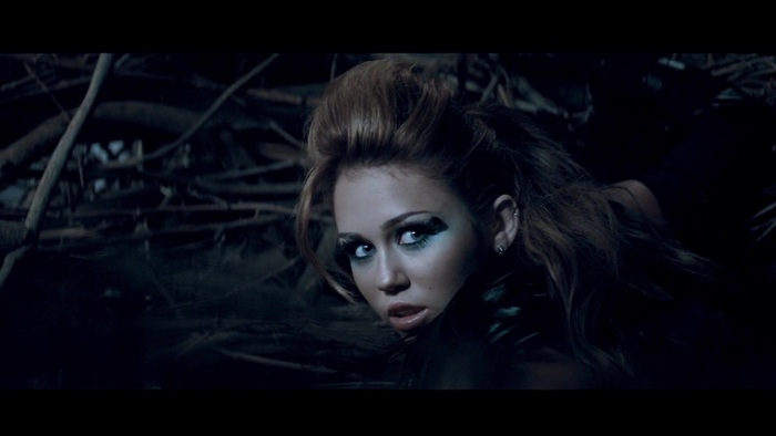 Miley Cyrus - Can&#39;t Be Tamed 110