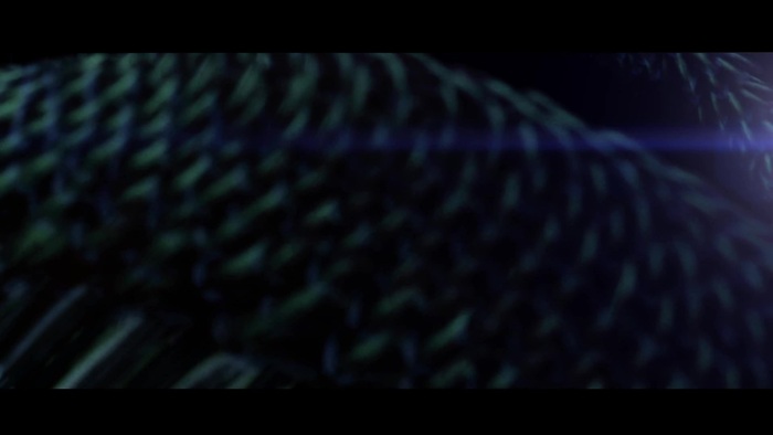 Miley Cyrus - Can&#39;t Be Tamed 154