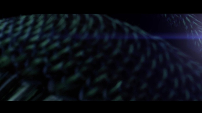 Miley Cyrus - Can&#39;t Be Tamed 155