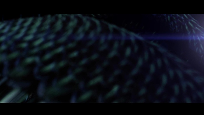 Miley Cyrus - Can&#39;t Be Tamed 156