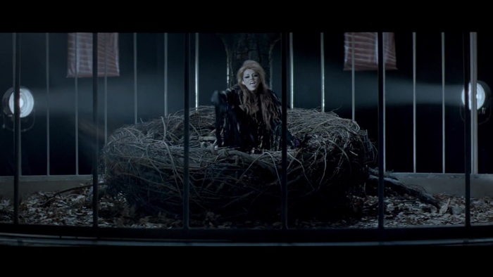 Miley Cyrus - Can&#39;t Be Tamed 222