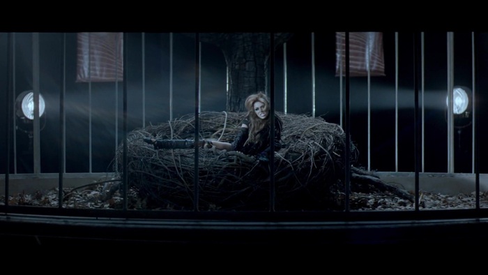 Miley Cyrus - Can&#39;t Be Tamed 240
