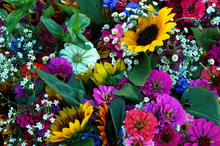 madisonflowers_1_fs