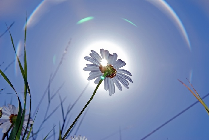 picturecontent-pid-1d201