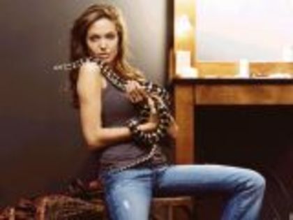 angelina-jolie_13 - angelina joli