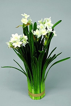 narcisa-alba-43-cm-ss-15317-1