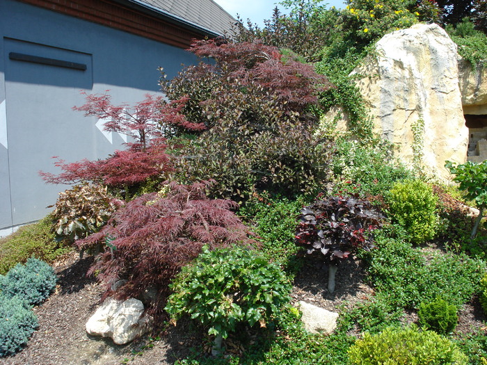 Miniature Trees (2009, July 03); Austria.
