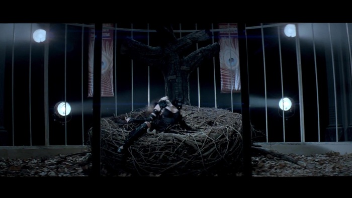 Miley Cyrus - Can&#39;t Be Tamed 368