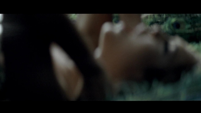 Miley Cyrus - Can&#39;t Be Tamed 431