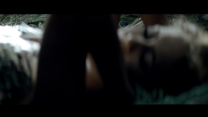 Miley Cyrus - Can&#39;t Be Tamed 433