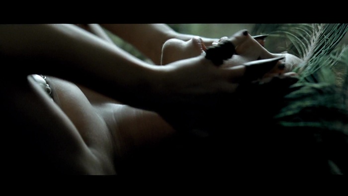 Miley Cyrus - Can&#39;t Be Tamed 530