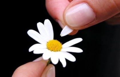 nn-Love-flowers-roses-ideas-flower-blumen-Rose-flores_large - Danut           iubire