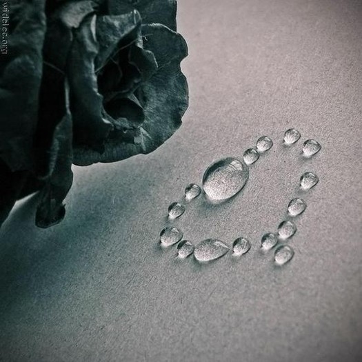 Polli-Love-pics-heart-Love-water-razno-luv_large - Danut           iubire