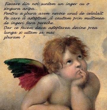 inger - Danut           iubire