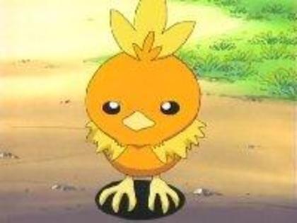torchic: scz ca vam atacat...noi doar protejam lumina... - Pokemon - Secretul