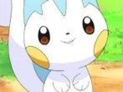 pachirisu: poate e.....?