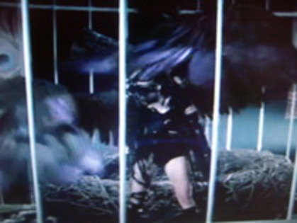 cant be tamed 8 - X_x miley cyrus cant be tamed