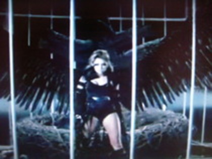 cant be tamed 9